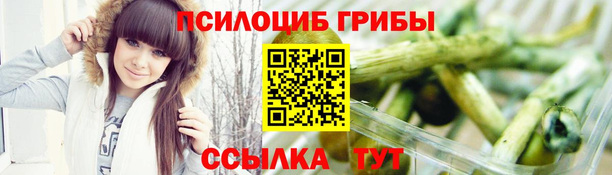 Грозный  Галлюциногенные грибы мухоморы  Галлюциногенные грибы Psilocybe  Вход с VPN 